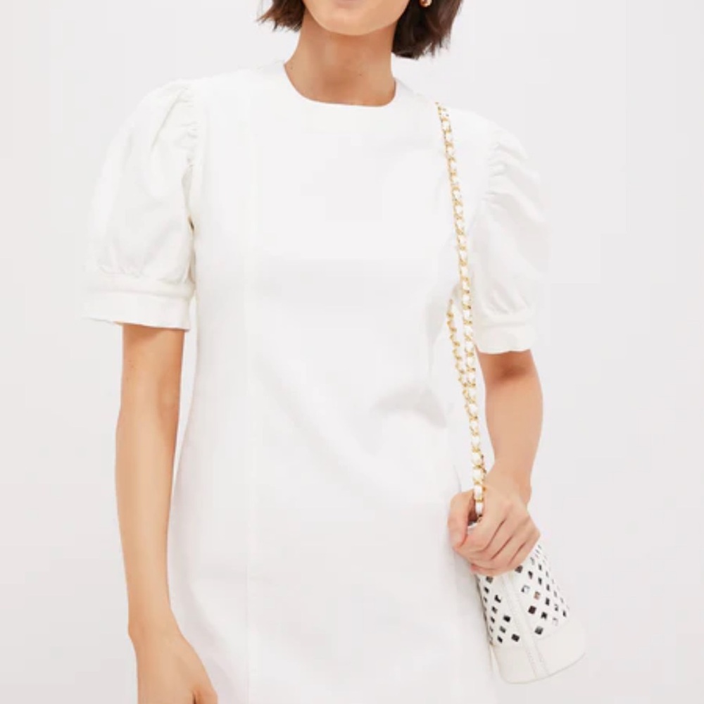 Tuckernuck White Puff Sleeve Dress